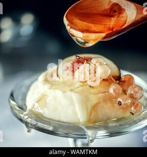 Fromage gastronomique Grand l'anniversaire de Saint-Remy avec du miel et des raisins de Corinthe blancs. Collection de fromages français fabriqués par des agriculteurs russes. Gros plan Banque D'Images