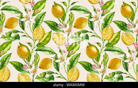 La direction générale de citron motif transparent aquarelle arbre fruitier avec fleurs floral botanique réaliste surface design : toute la moitié des feuilles d'agrumes sur ba beige crème Banque D'Images