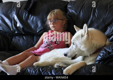 Petite fille est assise sur la table avec son animal de compagnie chien husky de Sibérie Banque D'Images