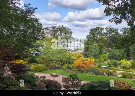 Vue à travers les arbres de la rocaille à la Serre en RHS Garden, Wisley, Surrey, Angleterre du Sud-Est en été sur une journée ensoleillée Banque D'Images