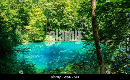 Allemagne, XXL nature paysage panorama d'eaux bleues de printemps naturel, appelé blautopf (pot bleu) dans le Jura souabe à blaubeuren, une destination touristique populaire d Banque D'Images