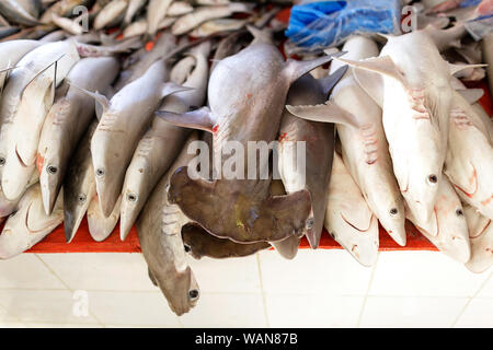Requin à affichage à marché de poisson de Sinaw, Oman Banque D'Images