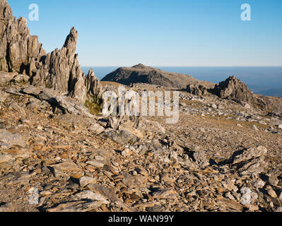 Le sommet rocheux des montagnes y Glyderau à Snowdonia, montrant le sommet de Glyder Fach vu de la voisine Glyder Fawr Banque D'Images