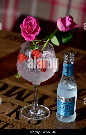 Gin Tonic. Un verre de gin avec une bouteille de l'eau tonique arbre - Fièvre Banque D'Images