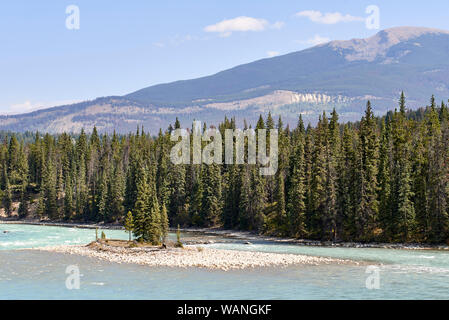 Le Canada, l'Alberta, Parc National de Jasper, Banff National Park, promenade des Glaciers, de la rivière Athabasca Banque D'Images