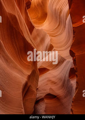 Dans la région de Antelope Canyon Navajo Tribal Park, Page, Arizona, USA : 9 Septembre 2015 : Intérieur de l'Antelope Canyon, woderful vagues orange en pierre Banque D'Images