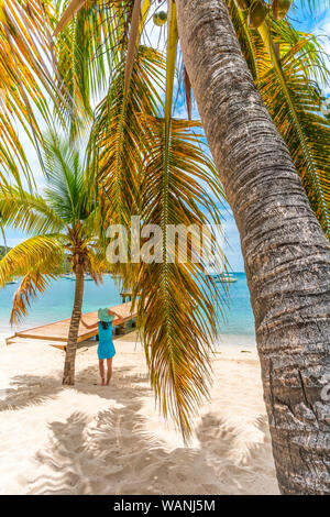 Woman leaning on un palmier d'admirer la mer des Caraïbes, l'Amérique centrale Banque D'Images