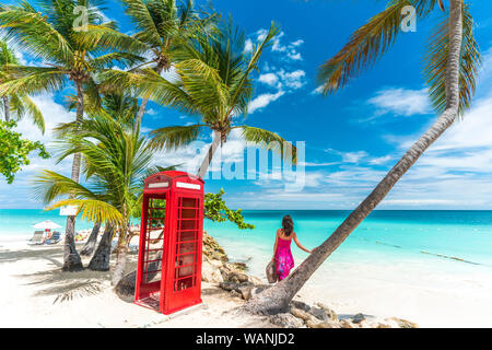 Vue arrière du woman leaning on palm tree à côté de la boîte de téléphone rouge face à la mer des Caraïbes, Siboney Beach, Dickenson Bay, Antigua Banque D'Images