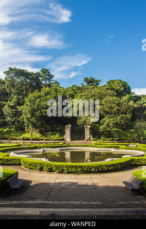 Jardin botanique, São Paulo, Brésil Banque D'Images