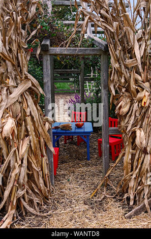 Table et chaises pour enfants, colorées, rouge, bleu, jardin, les tiges, la paille sur le sol, confortable, à l'automne ; New York ; vertical Banque D'Images