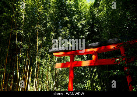 Torii rouge et forêt de bambou, la Bambouseraie - Prafrance Bamboo park,, Anduze, Gard, France Banque D'Images