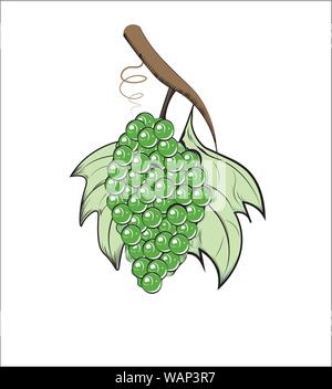 Bouquet sur une branche, avec des raisins feuilles, Illustration de Vecteur