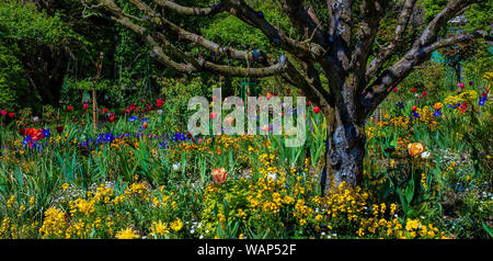 Le jardin de Monet, Giverny, France Banque D'Images