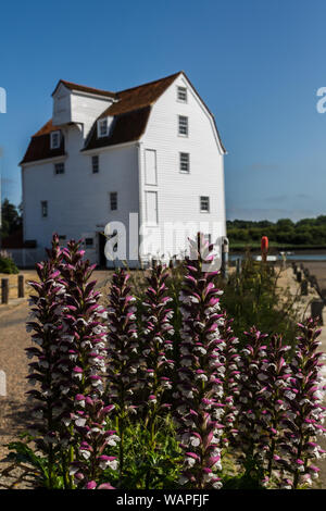 Le moulin à marée de Woodbridge, Suffolk. Un moulin à eau traditionnel qui produit encore aujourd'hui la farine Banque D'Images