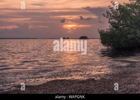 Pineland Monument Park, Pine Island, Fort Myers, Floride, Etats-Unis - le 18 juillet 2018 : coucher de soleil idyllique sur une île dans les Florida Keys Banque D'Images