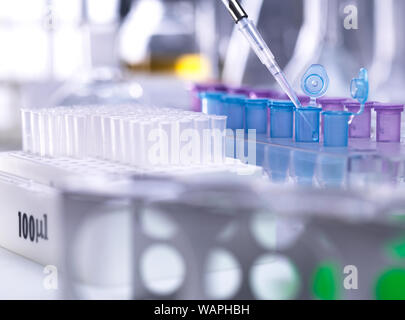 La biotechnologie, pipetage scientifique d'échantillon dans une fiole pour anaylsi Banque D'Images