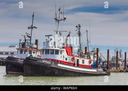 Deux gros remorqueurs amarrés le long du front de mer du port de Steveston en Colombie-Britannique Canada Banque D'Images