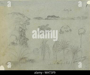 Le dessin, l'étude avec la cime des arbres, arbres, cinq dessins de plantes, et d'une île lointaine, ca. 1852-53 Banque D'Images