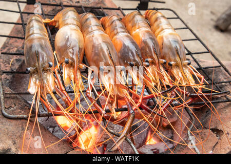 Délicieux gambas grillées sur flaming grill. La cuisson des fruits de mer crevettes brûlées sur une cuisinière. Banque D'Images