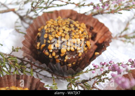Bonbons de chocolat sucré appétissant avec écrou sur le dessus pour le dessert Banque D'Images
