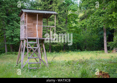 Cabane des chasseurs dans la forêt par la route. Hunter tower ou regarder post dans le désert. Hunter post est une structure en bois pour observer et photographier à wild anim Banque D'Images