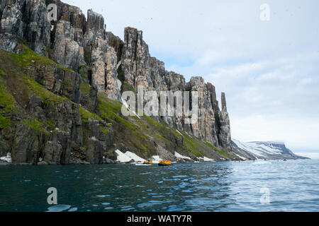 Colonie de Guillemots de Brünnich guillemot de Brünnich ou (Uria lomvia) , Spitsbergen Banque D'Images