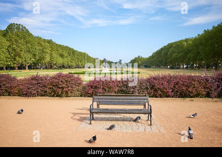 Un banc vide dans Jasne Parc Blonia à Szczecin, Pologne. Banque D'Images