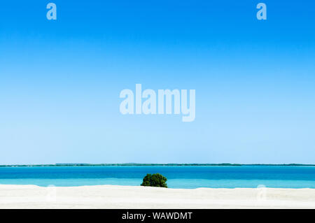 Plage de sable blanc de la mer bleu vert avec Bush. - Abu Dhabi Yas Island nature paysage horizon sous le soleil Banque D'Images