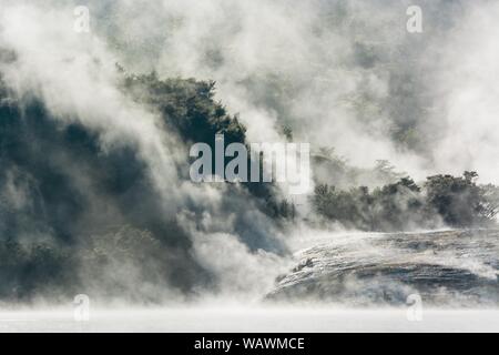 Le brouillard et la vapeur de hot springs, Parc géothermique Orakei Korako, zone géothermique, Hidden Valley, la zone volcanique de Taupo, île du Nord, Nouvelle-Zélande Banque D'Images