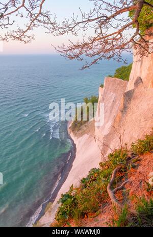 Vue sur la mer Baltique à partir de la côte de craie, falaises de craie, côte escarpée dans la lumière du matin, Mons Klint, Mon île, Klint, Danemark Banque D'Images