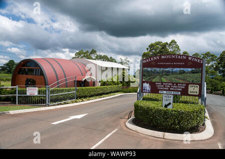 Un Vinyard viticole, «Maleny Mountain Wines», dans les collines de l'arrière-pays de la Sunshine Coast près de Maleny dans le Queensland, en Australie Banque D'Images