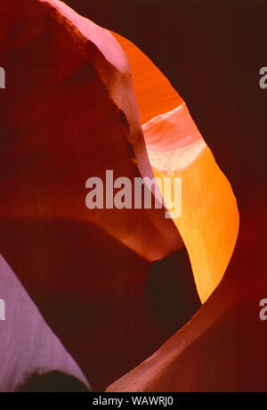 USA. De l'Arizona. Upper Antelope Canyon. Close up de grès érodées rock formation. Banque D'Images