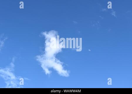 La forme du nuage blanc chien avec deux jambes de derrière on blue sky Banque D'Images