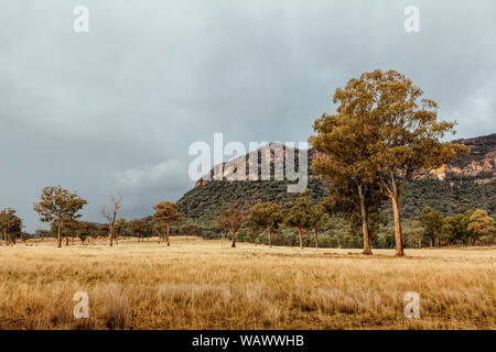 Les plaines herbeuses soutenu par bush naturel du terrain et d'une crête de grès dans la vallée Capertee, NSW, Australie Banque D'Images