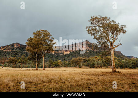 Les plaines herbeuses soutenu par bush naturel du terrain et d'une crête de grès dans la vallée Capertee, NSW, Australie Banque D'Images