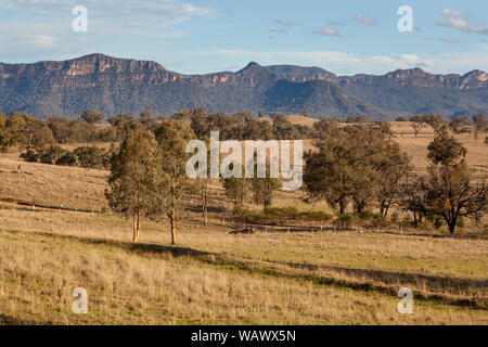 Les plaines herbeuses soutenu par le bush naturel robuste et crêtes de grès dans la vallée Capertee, NSW, Australie Banque D'Images