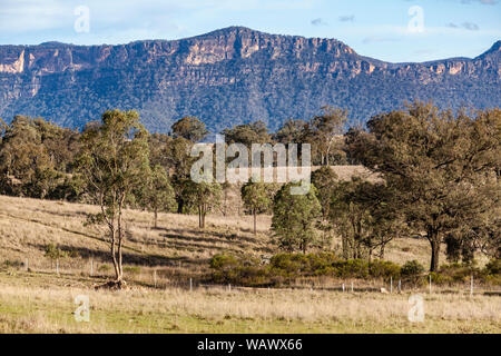 Les plaines herbeuses soutenu par le bush naturel robuste et crêtes de grès dans la vallée Capertee, NSW, Australie Banque D'Images