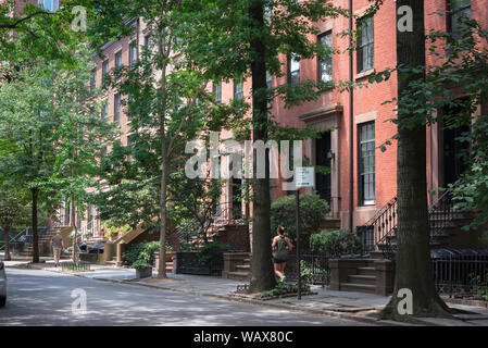 Brooklyn Heights, vue en été le long d'une rue résidentielle typique de grès brun dans le quartier chic de Brooklyn Heights, Brooklyn, New York City, États-Unis Banque D'Images