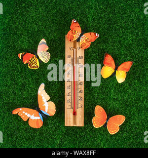 Haut degré 40 Thermomètre affichant des températures chaudes en été, soleil. Jour 40 température. La température estivale. Thermomètre sur l'herbe avec butterflie Banque D'Images