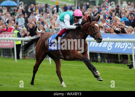 L''hippodrome de York, au Royaume-Uni. Le 22 août, 2019. Activer monté par Frankie Dettori remporte le, Darley Yorkshire Oaks, 2019 Allstar Crédit : photo library/Alamy Live News Banque D'Images