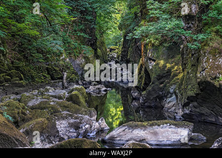 La Fairy Glen sur l'Afon (rivière) Conway près de Betws-Y-coed National de Snowdonia au nord du Pays de Galles UK Juillet 2018 Banque D'Images