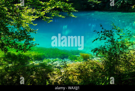 L'Allemagne, la destination touristique de l'eau bleu source blautopf à blaubeuren forêt dans le Jura souabe nature paysage en été avec Sun Banque D'Images