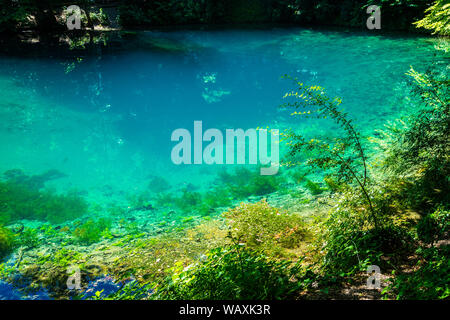 L'Allemagne, appelé pot bleu en blautopf blaubeuren village dans le Jura souabe nature paysage d'un bleu profond, source naturelle d'eau douce à l'intérieur green fores Banque D'Images