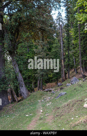 Belles Scènes durant le trek à l'Hamta Pass trek dans l'Himalaya - Gammes Banque D'Images