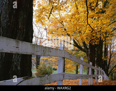 Clôture d'automne à Peacham, Vermont Banque D'Images