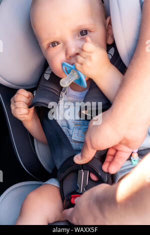 Le processus de la fixation des ceintures de sécurité sur un siège pour enfant dans la voiture. Sécurité pour les enfants, la sécurité des transports Banque D'Images