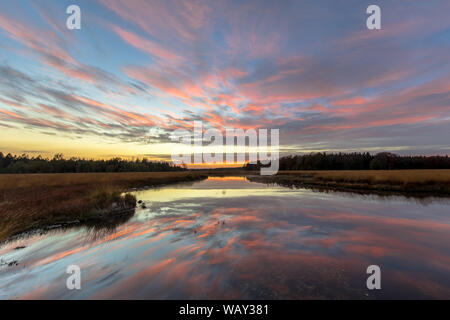 Dans la réserve naturelle de marais de landes paysage sous sunet avec nuages roses dans la province de Drenthe, Pays-Bas Banque D'Images