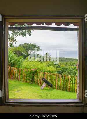 Une vue sur la forêt atlantique et l'Océan Atlantique encadrée par une fenêtre à Vila Velha - Itamaraca île, Brésil Banque D'Images