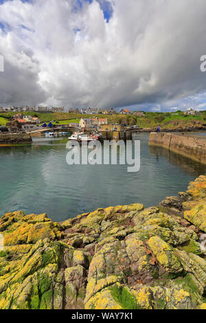 St Abbs harbour, St Abbs, Berwickshire, Scottish Borders, Scotland, UK. Banque D'Images