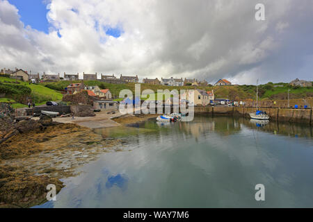 St Abbs harbour, St Abbs, Berwickshire, Scottish Borders, Scotland, UK. Banque D'Images